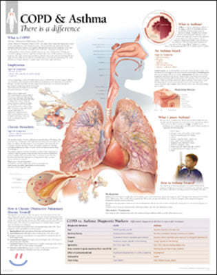 Copd/asthma, Paper Chart