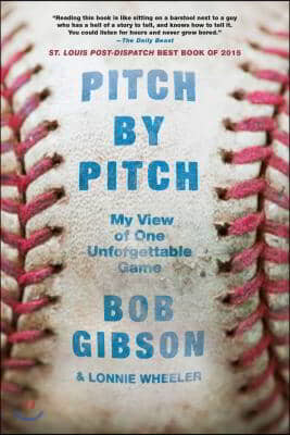 Pitch by Pitch: My View of One Unforgettable Game