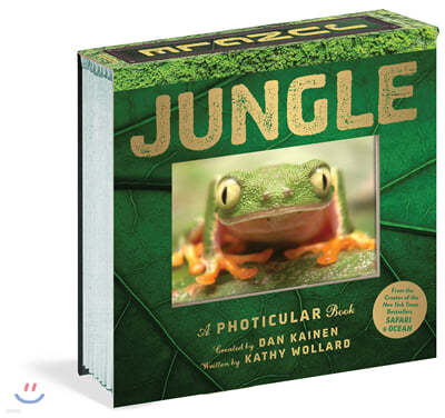 Jungle: A Photicular Book