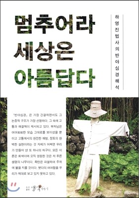 생각더하기  멈추어라 세상은 아름답다 하영진 법사의 반야심경 해석