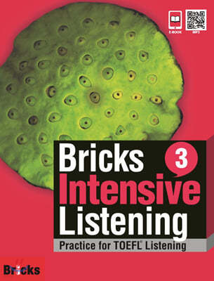 Bricks Intensive Listening 3