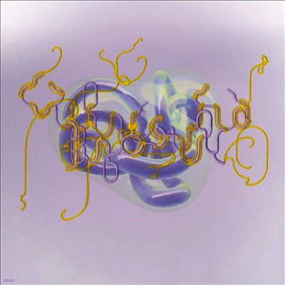 Bjork — Blake Lake (Bloom Remix) (Limited Edition) 앨범 커버