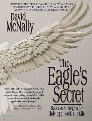 The Eagle's Secret: Success Strategies for Thriving at Work & in Life