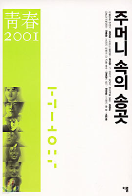 청춘 2001 주머니 속의 송곳