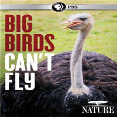 Nature: Big Birds Can't Fly (  ĵƮ ö)(ڵ1)(ѱ۹ڸ)(DVD)
