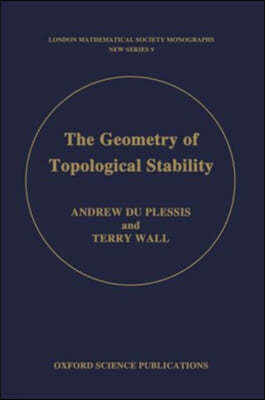 The Geometry of Topological Stability