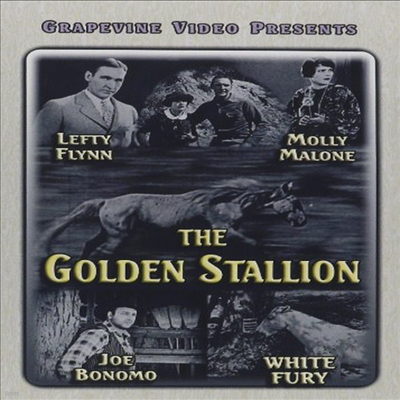 Golden Stallion (1927) (Silent) ( Ÿ)(ѱ۹ڸ)(DVD)