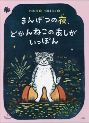 まんげつの夜,どかんねこのあしがいっぽん