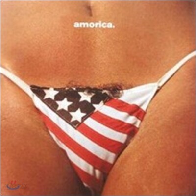 Black Crowes (블랙 크로우즈) - Amorica. [Back To Black Series 2 LP]