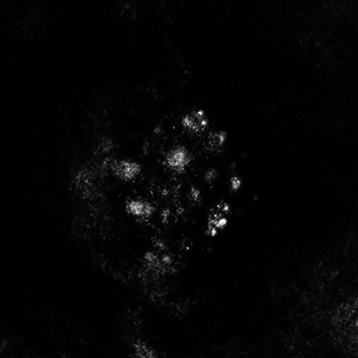 Saffronkeira - Synecdoche (Gatefold)(2LP)