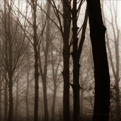 Blueneck — Scars Of The Midwest 앨범 커버