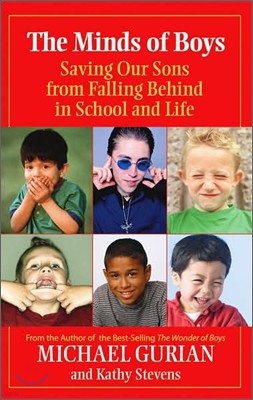 The Minds of Boys: Saving Our Sons from Falling Behind in School and Life
