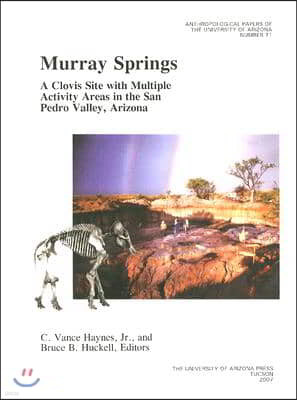 Murray Springs