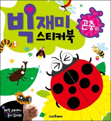 책 정보