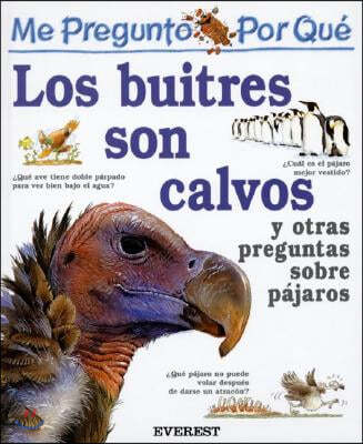 Me Pregunto Por Que los Buitres Son Calvos: Y Otras Preguntas Sobre Pajaros