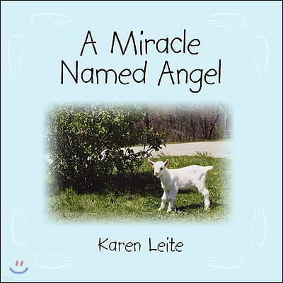 A Miracle Named Angel