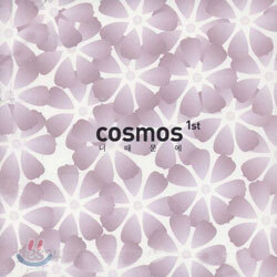 Cosmos (코스모스) - 너때문에