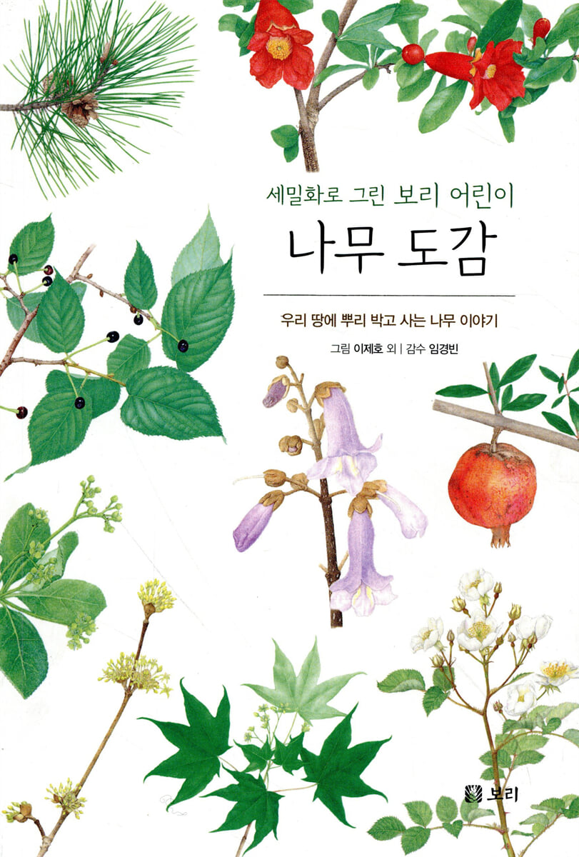 나무 도감 : 세밀화로 그린 보리 어린이 도감