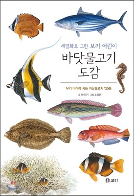 바닷물고기 도감 : 세밀화로 그린 보리 어린이 도감