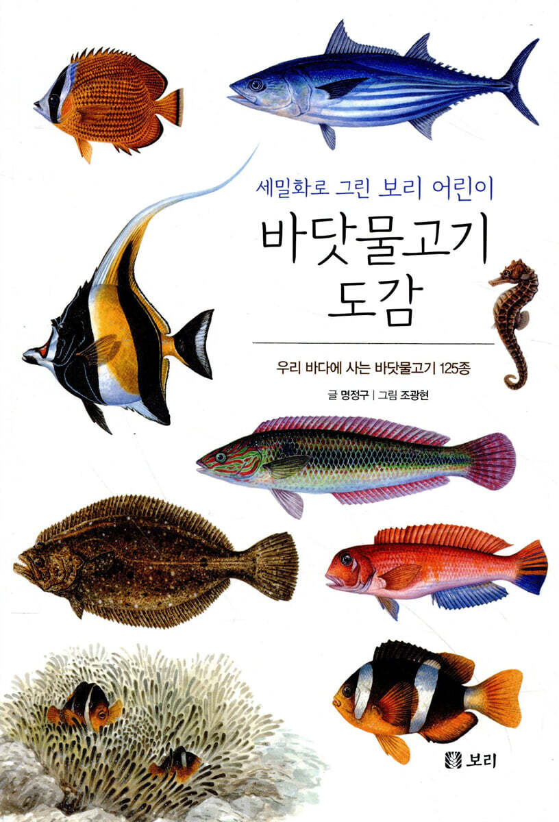 바닷물고기 도감 : 세밀화로 그린 보리 어린이 도감