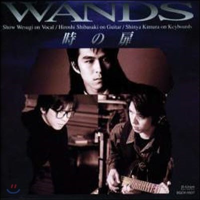 [߰] WANDS () / Toki No Tobira (Ϻ)