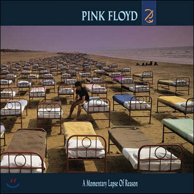 Pink Floyd (ũ ÷̵) - A Momentary Lapse of Reason