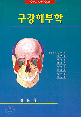 구강 해부학