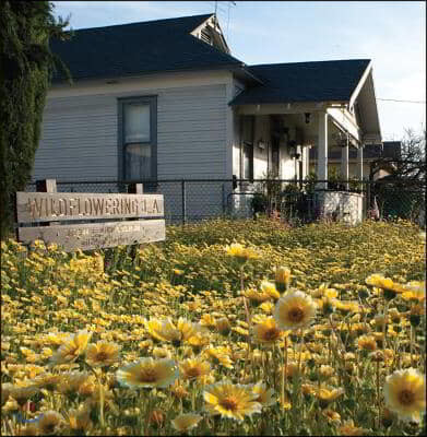 Fritz Haeg: Wildflowering L.A.