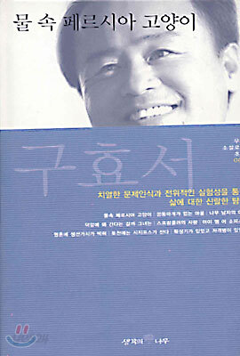 물 속 페르시아 고양이