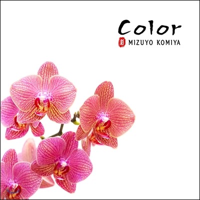 Mizuyo Komiya ( ̾) - Color