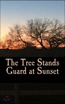 The Tree Stands Guard at Sunset: Password Keeper/Log Book