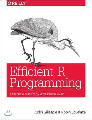 Efficient R Programming: A Practical Guide to Smarter Programming