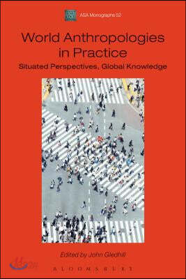 World Anthropologies in Practice