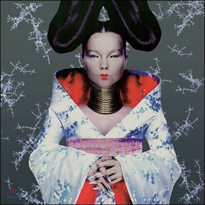Bjork — Homogenic 앨범 커버