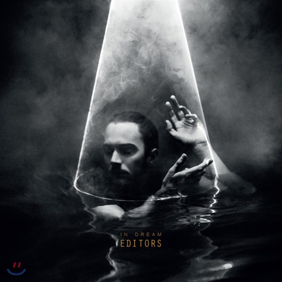 Editors - In Dream [화이트 컬러 LP]
