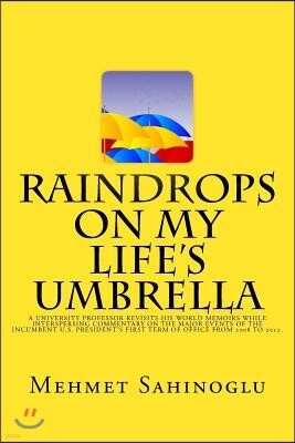 Raindrops on My Life's Umbrella: A University Professor's World Memoirs
