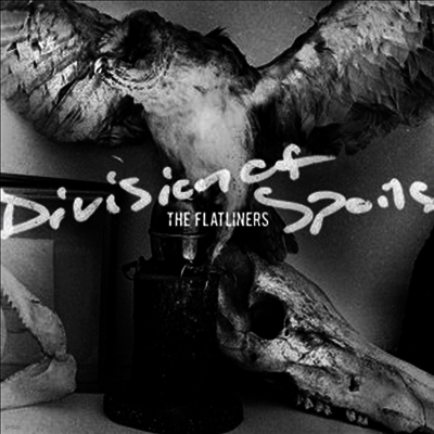 Flatliners — Division Of Spoils 앨범 커버