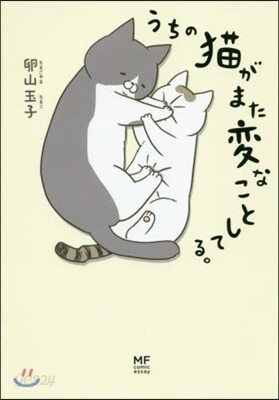うちの猫がまた變なことしてる。