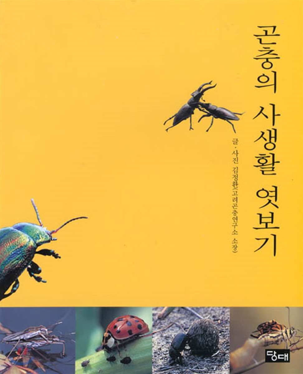 곤충의 사생활 엿보기