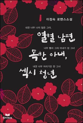 [세트] 열혈남편, 독한아내, 섹시청년 (전2권/완결)