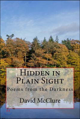 Hidden in Plain Sight: Poems from the Darkness