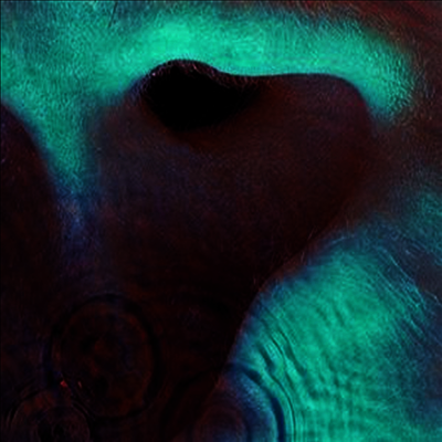 Pink Floyd - Meddle (Digipack)(CD)