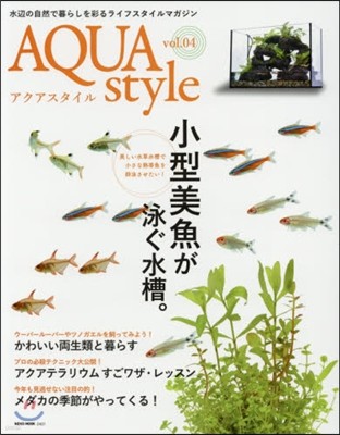 AQUA style   4