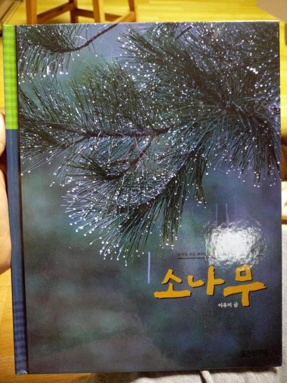 [중고샵] 웅진 푸른아이 43 소나무 - 예스24 [중고샵]웅진 푸른아이 43 소나무 - 예스24