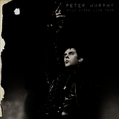 Peter Murphy — Wild Birds Live Tour (Limited Edition) 앨범 커버