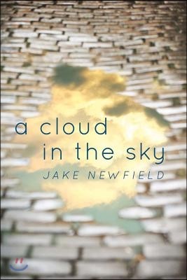 A Cloud in the Sky: Life's Greatest Lessons and Regretsvolume 1