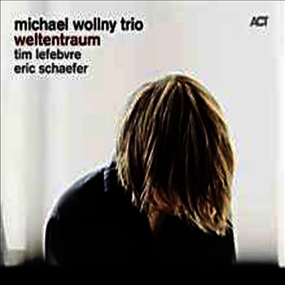 Michael Wollny (em) - Wletentraum (Limited Edition)(180g Vinyl LP)