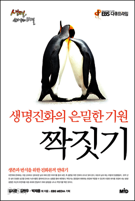 짝짓기 : 생명진화의 은밀한 기원