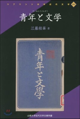 靑年と文學