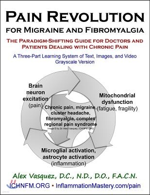 Pain Revolution for Migraine and Fibromyalgia (Discounted Printing): The Paradigm-Shifting Guide for Doctors and Patients Dealing with Chronic Pain